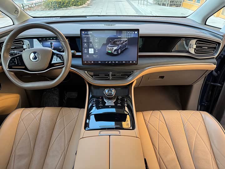 Фото 4 - Denza D9