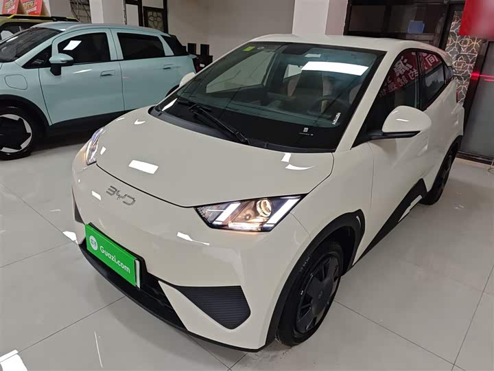 Фото 2 - BYD Seagull