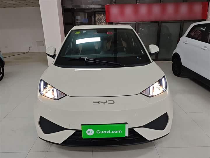 Фото 3 - BYD Seagull