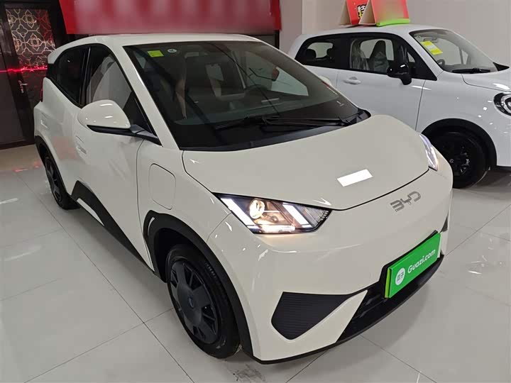 Фото 4 - BYD Seagull