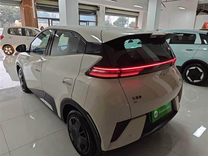 Фото 5 - BYD Seagull