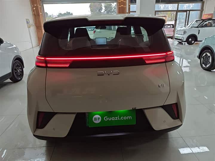 Фото 6 - BYD Seagull