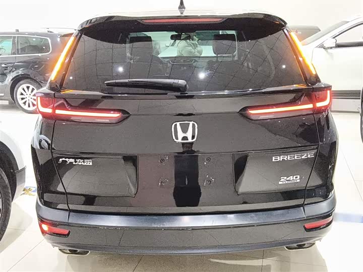 Фото 6 - Honda Breeze