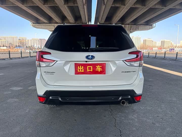 Фото 7 - Subaru Forester