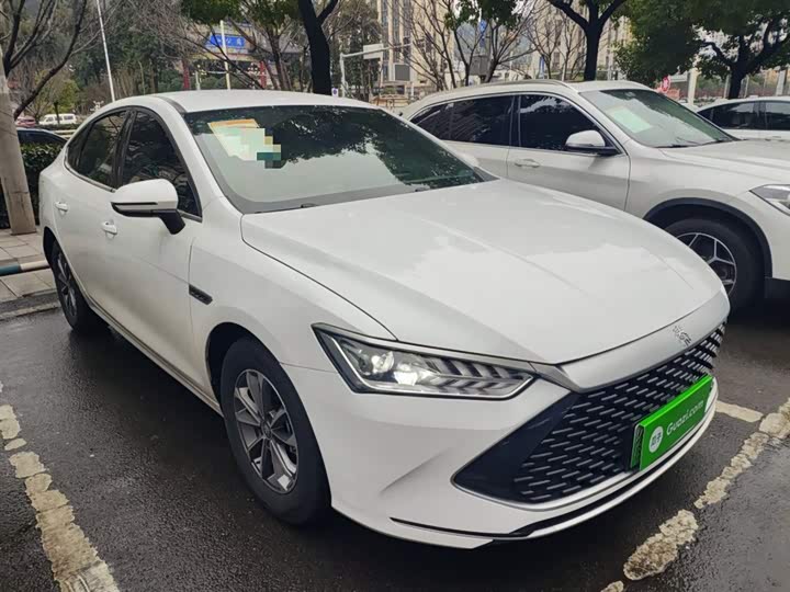 Фото 4 - BYD Qin Plus