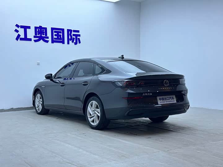 Фото 6 - Volkswagen Lamando L