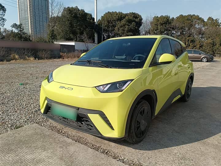 Фото 1 - BYD Seagull