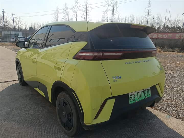 Фото 5 - BYD Seagull
