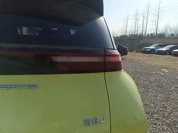 Фото 8 - BYD Seagull