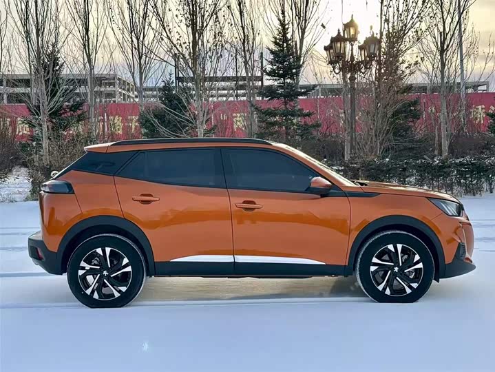 Фото 9 - Peugeot 2008