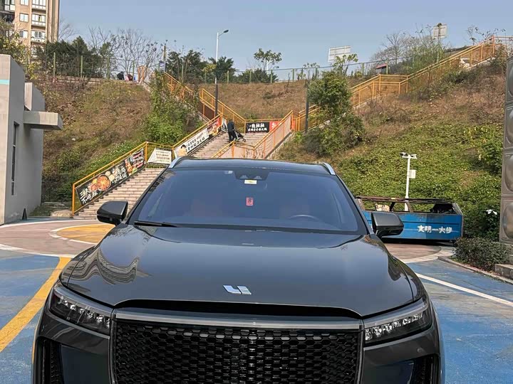 Фото 3 - LiXiang One