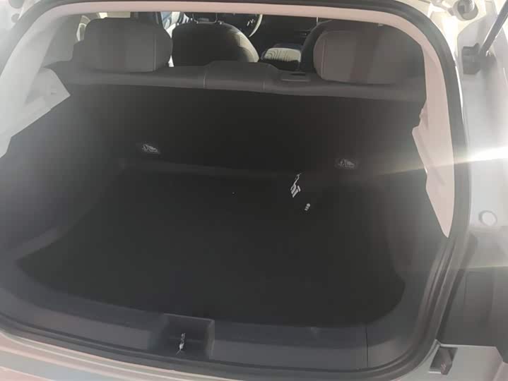 Фото 4 - BAIC Arcfox T1