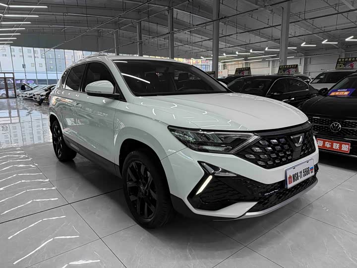 Фото 3 - Jetta VS5