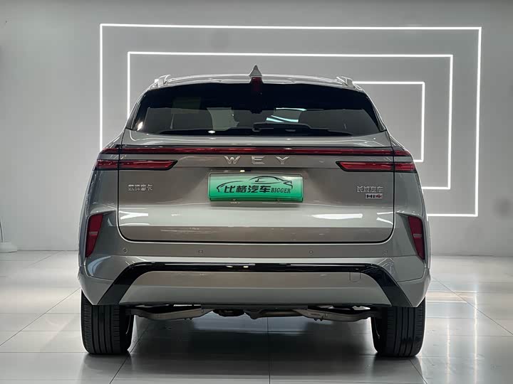 Фото 4 - Wey Mocca Hybrid