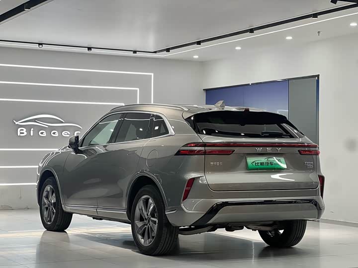 Фото 5 - Wey Mocca Hybrid