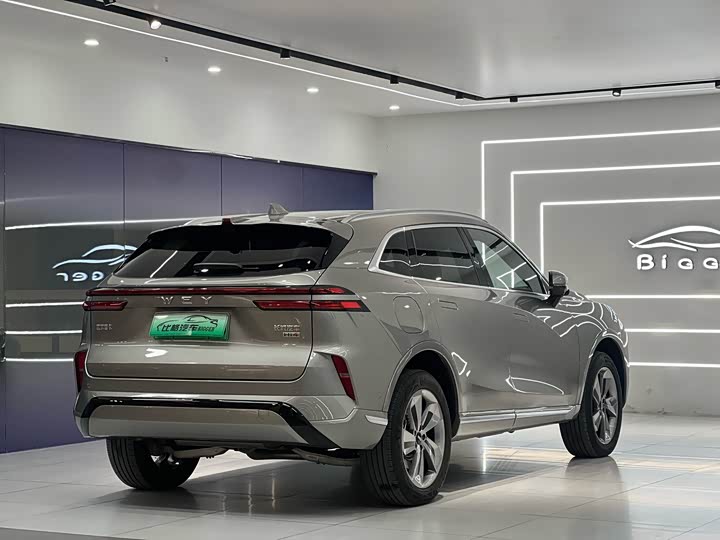 Фото 6 - Wey Mocca Hybrid