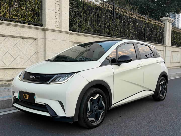 Фото 1 - BYD Dolphin