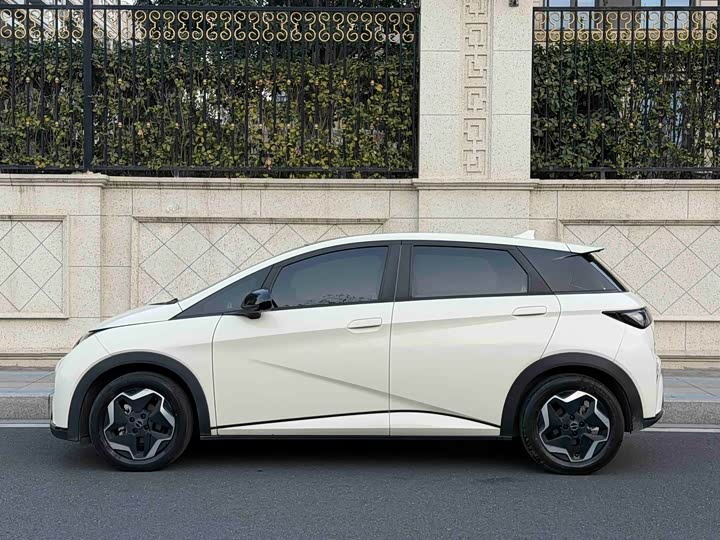 Фото 3 - BYD Dolphin