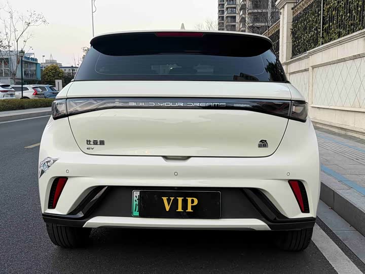 Фото 4 - BYD Dolphin