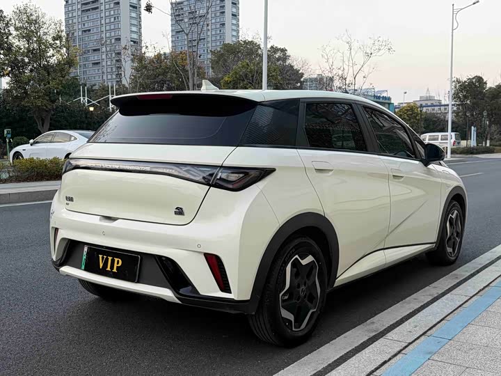 Фото 5 - BYD Dolphin