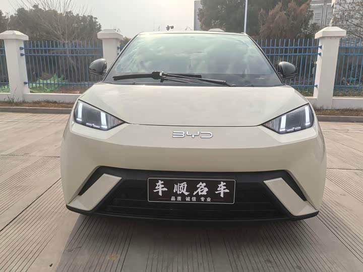 Фото 2 - BYD Seagull