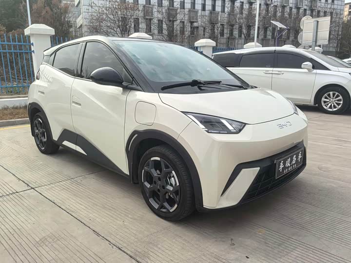 Фото 3 - BYD Seagull