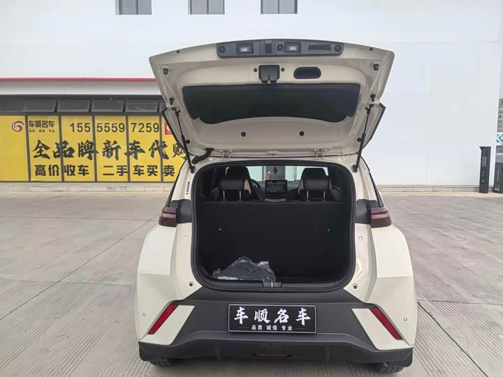 Фото 8 - BYD Seagull