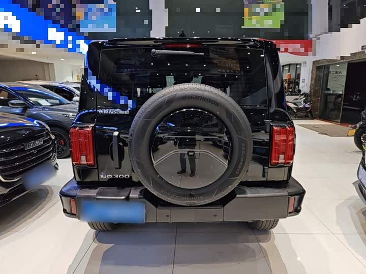 Фото 9 - Tank 300