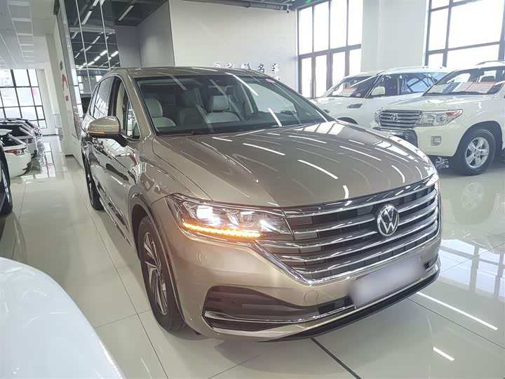 Фото 4 - Volkswagen Viloran