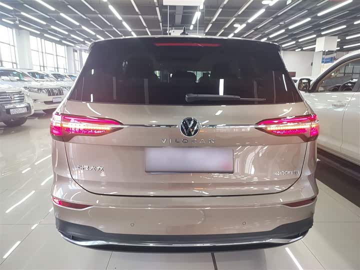 Фото 6 - Volkswagen Viloran