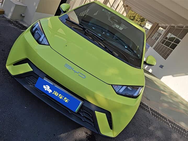 Фото 1 - BYD Seagull