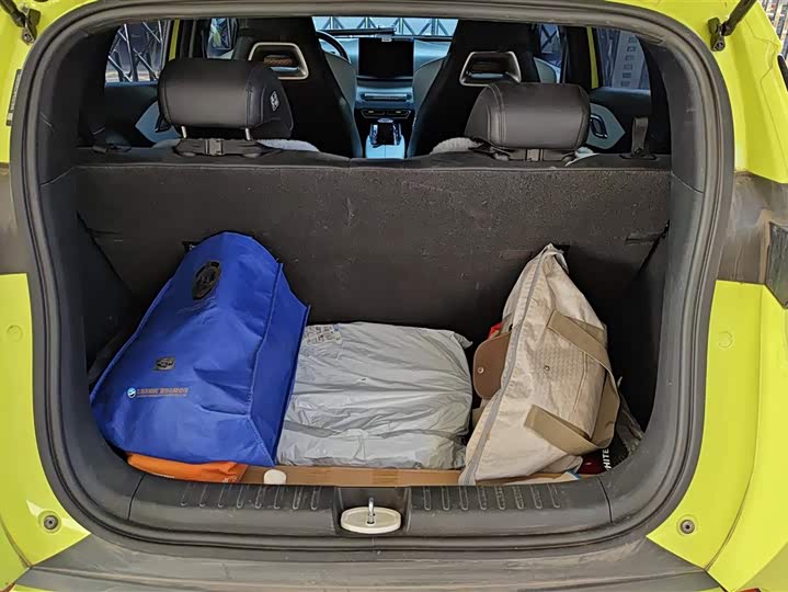 Фото 4 - BYD Seagull