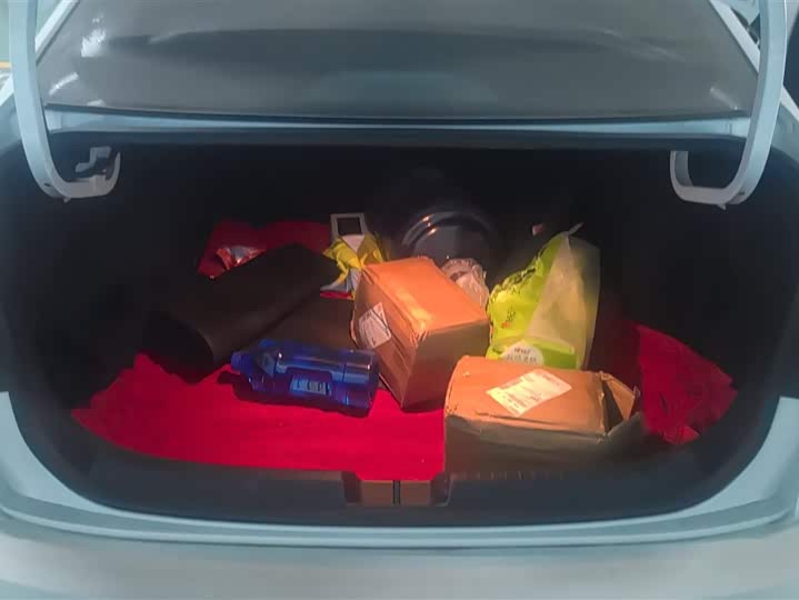 Фото 4 - Volkswagen Sagitar L