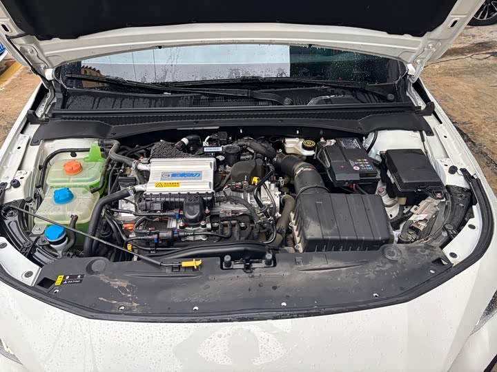 Фото 4 - GAC Trumpchi Empow R