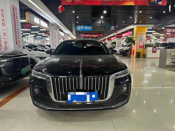 Фото 2 - Hongqi H9