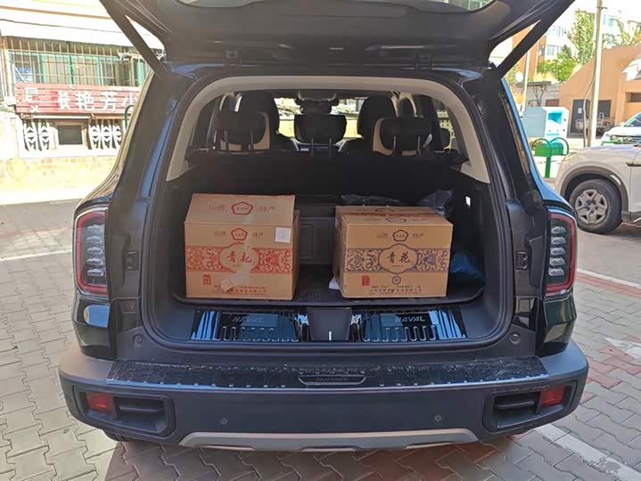 Фото 4 - Haval Dargo