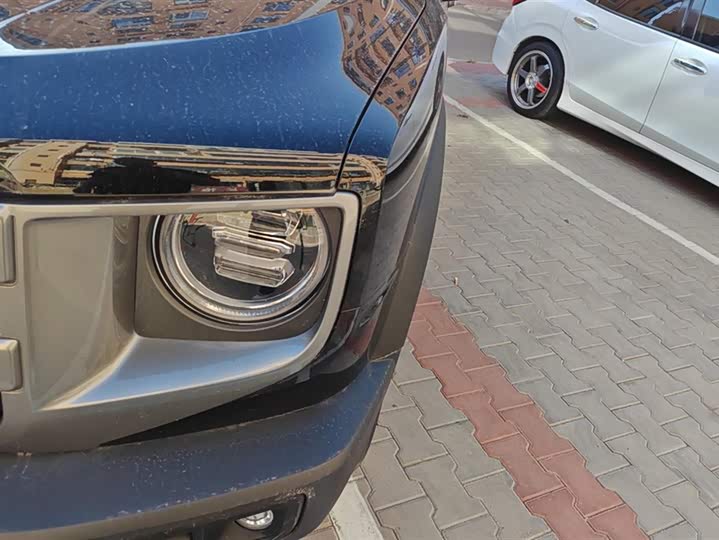 Фото 5 - Haval Dargo