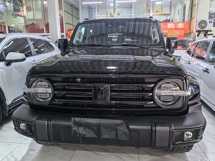 Фото 2 - Tank 300