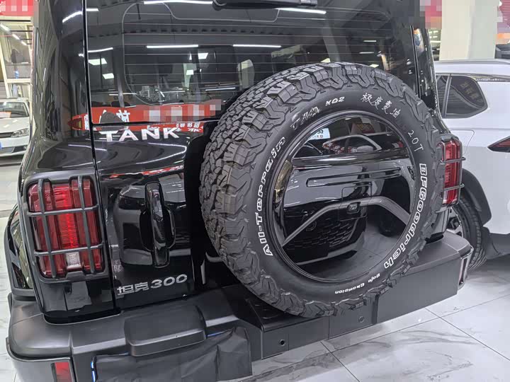 Фото 5 - Tank 300