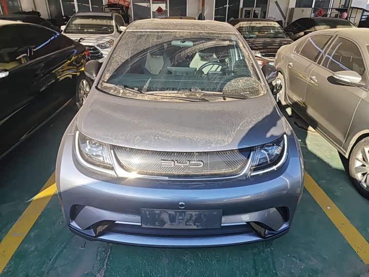 Фото 3 - BYD Dolphin