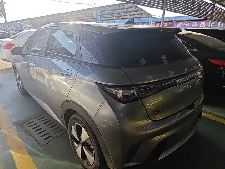 Фото 5 - BYD Dolphin