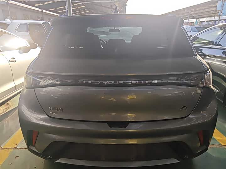 Фото 6 - BYD Dolphin