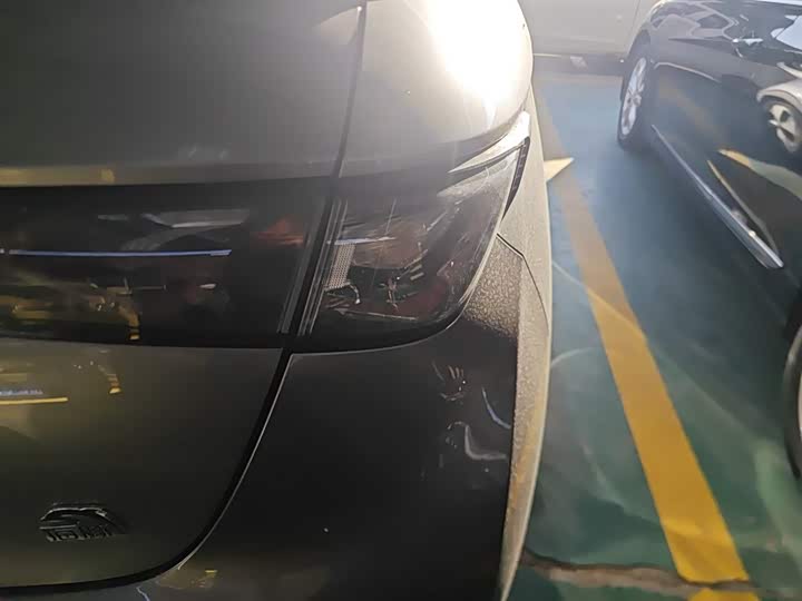 Фото 8 - BYD Dolphin