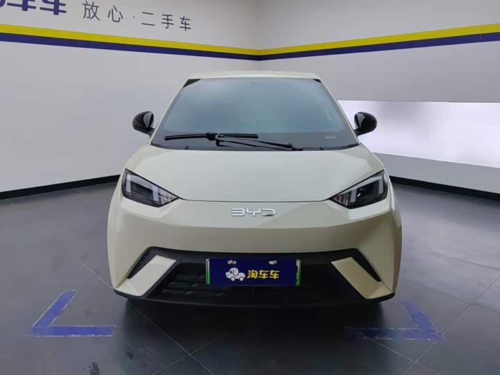 Фото 2 - BYD Seagull