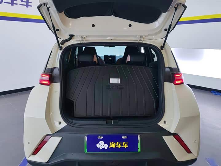 Фото 4 - BYD Seagull