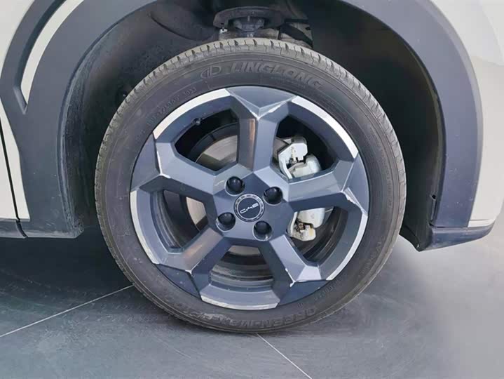 Фото 6 - BYD Seagull