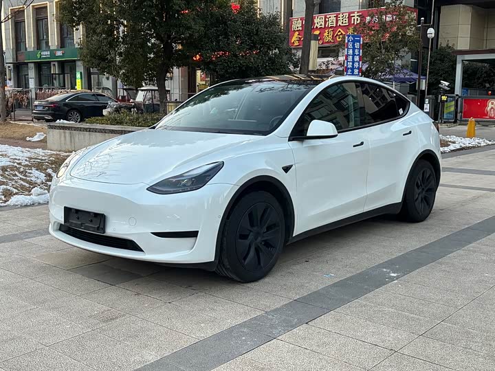 Фото 1 - Tesla Model Y