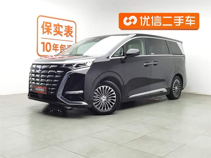 Фото 1 - Denza D9