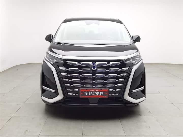 Фото 2 - Denza D9