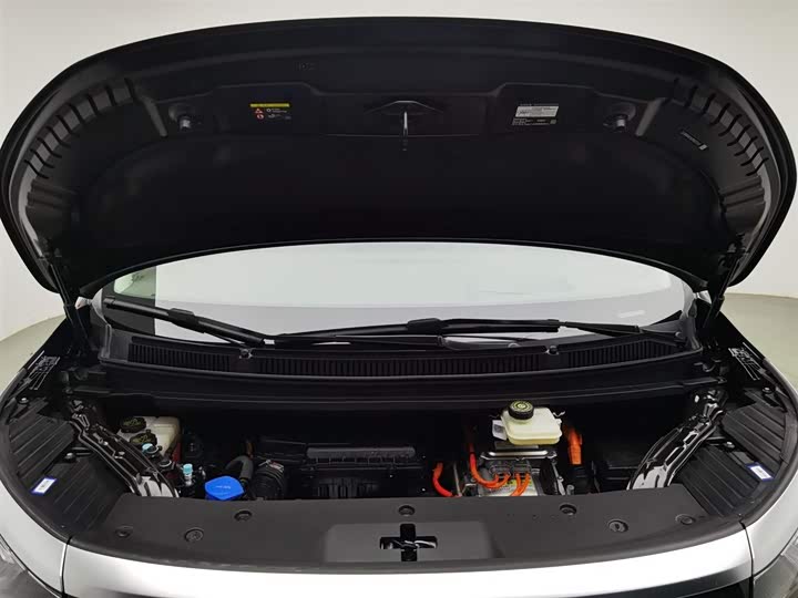 Фото 6 - Denza D9